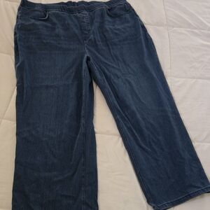 Lands' End Medium Blue Denim Cropped Starfish Jeans
